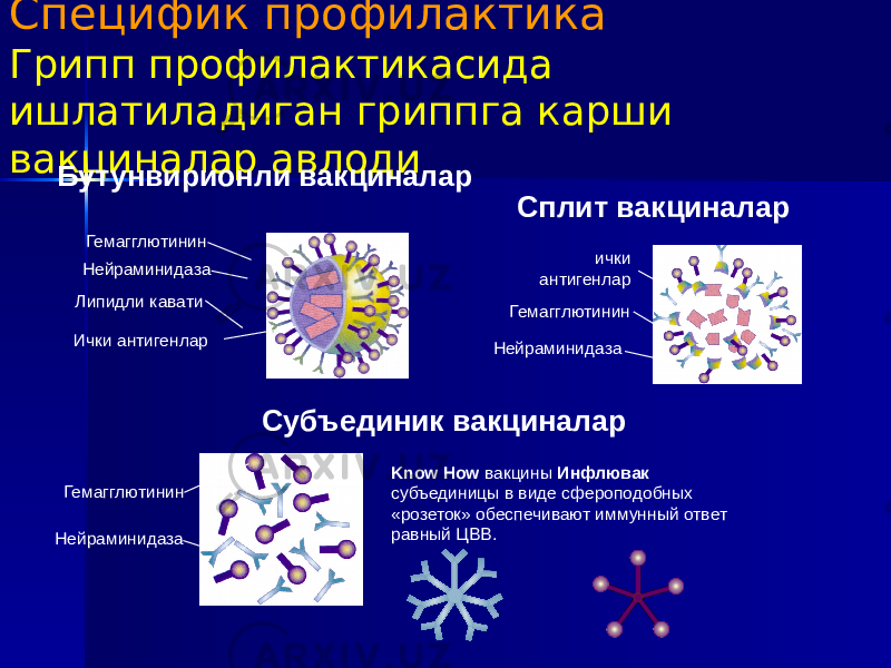 Специфик профилактика Грипп профилактикасида ишлатиладиган гриппга карши вакциналар авлоди Бутунвирионли вакциналар Гемагглютинин Нейраминидаза Липидли кавати Ички антигенлар Сплит вакциналар ички антигенлар Гемагглютинин Нейраминидаза Субъединик вакциналар Гемагглютинин Нейраминидаза Know How вакцины Инфлювак субъединицы в виде сфероподобных «розеток» обеспечивают иммунный ответ равный ЦВВ. 