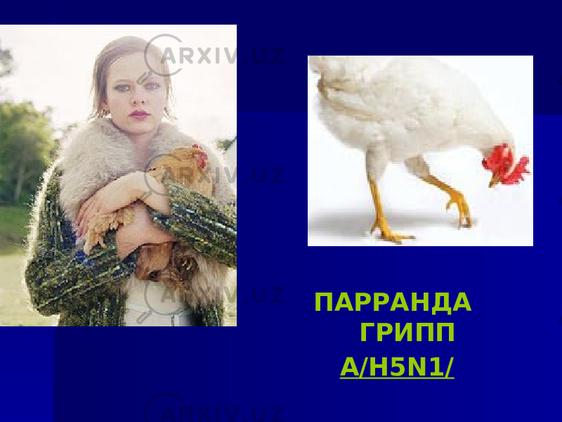 ПАРРАНДА ГРИПП А/H5N1/ 