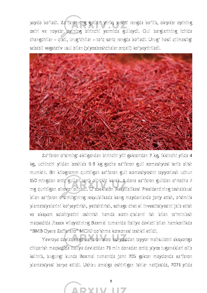 paydo bo ’ ladi . Za ʼ faronning gullari yirik , pushti rangda bo ’ lib , oktyabr oyining oxiri va noyabr oyining birinchi yarmida gullaydi . Gul barglarining ichida changchilar – qizil, urug’chilar – to’q sariq rangda bo’ladi. Urug’ hosil qilmasligi sababli vegetativ usul bilan (piyozboshchalar orqali) ko’paytiriladi. Zaʼfaron o’simligi ekilgandan birinchi yili gektaridan 2 kg, ikkinchi yilda 4 kg, uchinchi yildan boshlab 6-8 kg gacha zaʼfaron guli xomashyosi terib olish mumkin. Bir kilogramm quritilgan zaʼfaron guli xomashyosini tayyorlash uchun 150   mingdan ortiq gullari terib olinishi kerak. 1 dona zaʼfaron gulidan o’rtacha 7 mg quritilgan ziravor olinadi. O’zbekiston Respublikasi Prezidentining tashabbusi bilan zaʼfaron o’simligining respublikada keng maydonlarda joriy etish, o’simlik plantatsiyalarini ko’paytirish, yetishtirish, sohaga chet el investitsiyasini jalb etish va eksport salohiyatini oshirish hamda xotin-qizlarni ish bilan taʼminlash maqsadida Jizzax viloyatining Baxmal tumanida Italiya davlati bilan hamkorlikda “BMB Opera Zafferano” MCHJ qo’shma korxonasi tashkil etildi. Yevropa davlatlariga zaʼfaron xom ashyosidan tayyor mahsulotni eksportga chiqarish maqsadida Italiya davlatidan 21 mln donadan ortiq piyoz tuganaklari olib kelinib, bugungi kunda Baxmal tumanida jami 205 gektar maydonda zaʼfaron plantatsiyasi barpo etildi. Ushbu amalga oshirilgan ishlar natijasida, 2021-yilda 8 