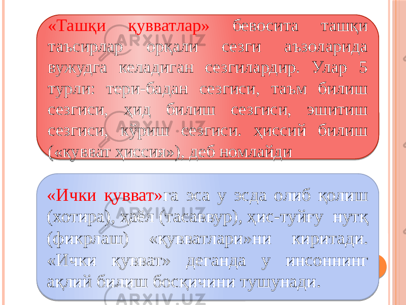 «Ташқи қувватлар» бевосита ташқи таъсирлар орқали сезги аъзоларида вужудга келадиган сезгилардир. Улар 5 турли: тери-бадан сезгиси, таъм билиш сезгиси, ҳид билиш сезгиси, эшитиш сезгиси, кўриш сезгиси. ҳиссий билиш («қувват ҳиссия»), деб номлайди «Ички қувват» га эса у эсда олиб қолиш (хотира), ҳаёл (тасаввур), ҳис-туйғу нутқ (фикрлаш) «қувватлари»ни киритади. «Ички қувват» деганда у инсоннинг ақлий билиш босқичини тушунади. 31 32 08 3D 08 10 10 50 31 0E 5011 50090B 31 02 