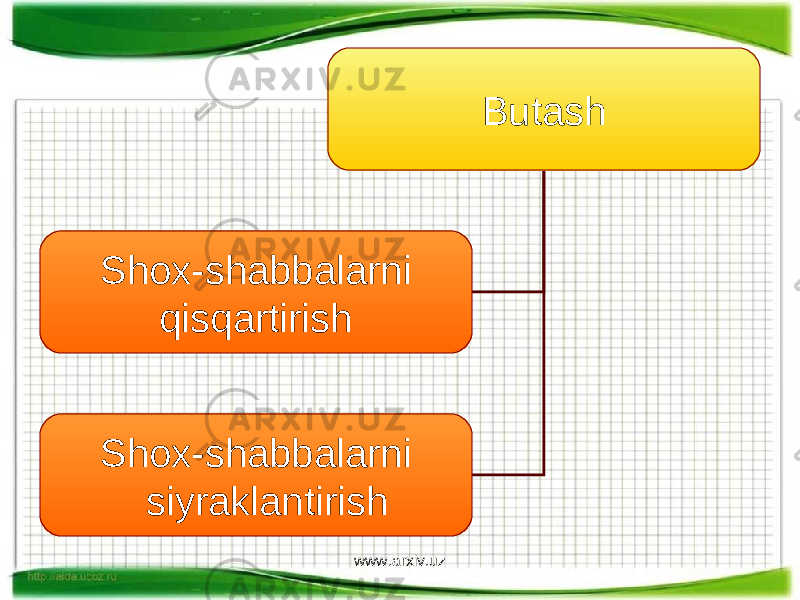 Butash Shox-shabbalarni qisqartirish Shox-shabbalarni siyraklantirish www.arxiv.uz 