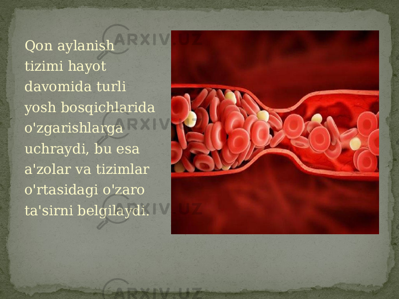 Qon aylanish tizimi hayot davomida turli yosh bosqichlarida o&#39;zgarishlarga uchraydi, bu esa a&#39;zolar va tizimlar o&#39;rtasidagi o&#39;zaro ta&#39;sirni belgilaydi. 