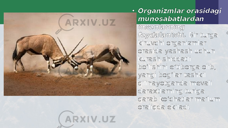 • Organizmlar orasidagi munosabatlardan insonlarning foydalanishi. Bir turga kiruvchi organizmlar orasida yashash uchun kurash shiddatli bo‘lishini e’tiborga olib, yangi bog‘lar tashkil qilinayotganda mevali daraxtlarning turiga qarab ko‘chatlar ma’lum oraliqda ekiladi. 