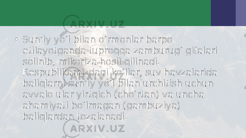 • Sun’iy yo‘l bilan o‘rmonlar barpo etilayotganda tuproqqa zamburug‘ gifalari solinib, mikoriza hosil qilinadi. Respublikamizdagi ko‘llar, suv havzalarida baliqlarni sun’iy yo‘l bilan urchitish uchun avvalo ular yirtqich (cho‘rtan) va uncha ahamiyati bo‘lmagan (gambuziya) baliqlardan tozalanadi. 