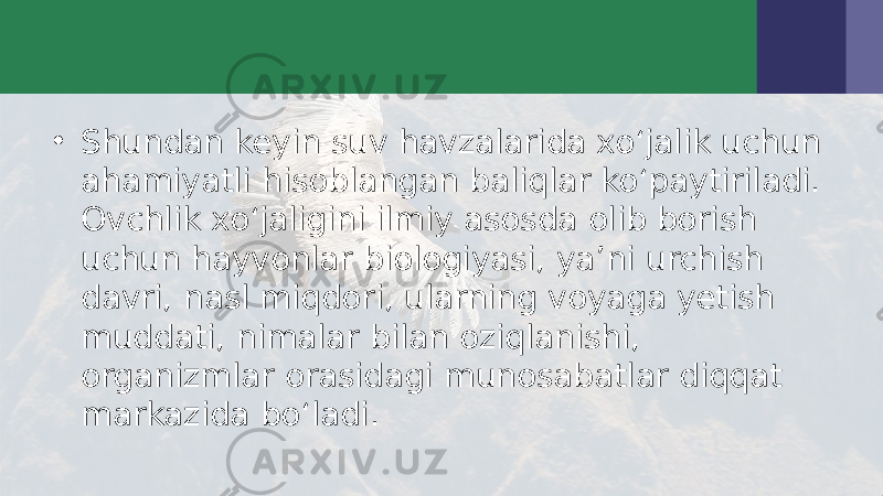 • Shundan keyin suv havzalarida xo‘jalik uchun ahamiyatli hisoblangan baliqlar ko‘paytiriladi. Ovchlik xo‘jaligini ilmiy asosda olib borish uchun hayvonlar biologiyasi, ya’ni urchish davri, nasl miqdori, ularning voyaga yetish muddati, nimalar bilan oziqlanishi, organizmlar orasidagi munosabatlar diqqat markazida bo‘ladi. 