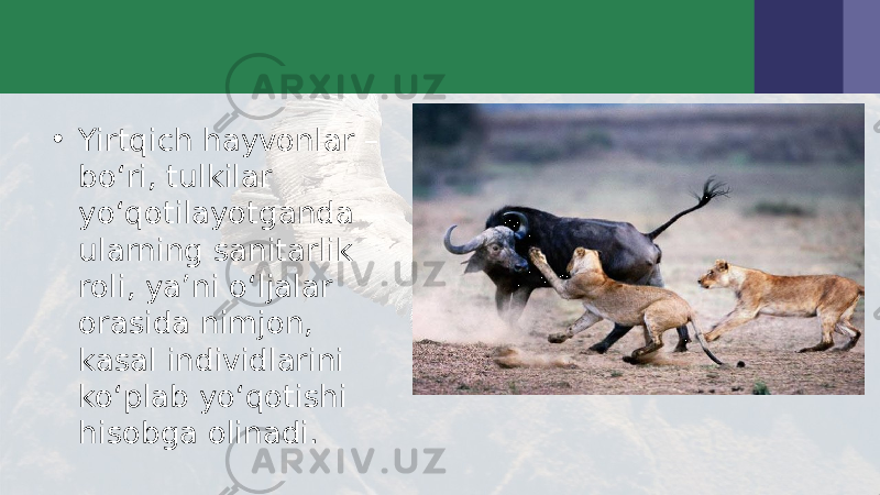 • Yirtqich hayvonlar – bo‘ri, tulkilar yo‘qotilayotganda ularning sanitarlik roli, ya’ni o‘ljalar orasida nimjon, kasal individlarini ko‘plab yo‘qotishi hisobga olinadi. 