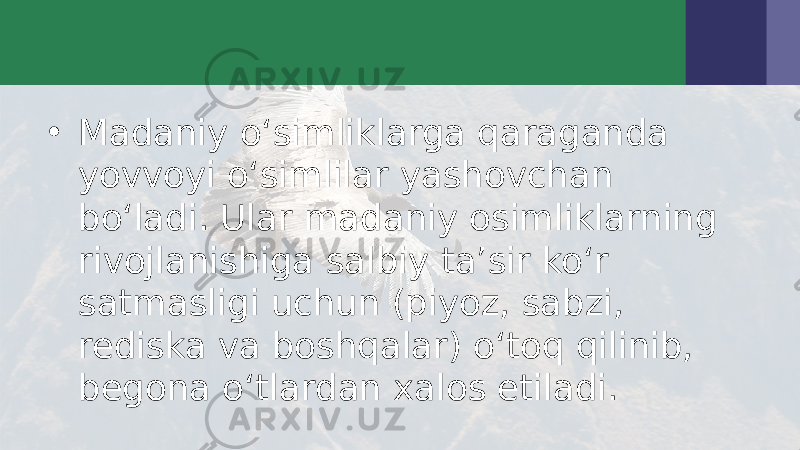 • Madaniy o‘simliklarga qaraganda yovvoyi o‘simlilar yashovchan bo‘ladi. Ular madaniy osimliklarning rivojlanishiga salbiy ta’sir ko‘r satmasligi uchun (piyoz, sabzi, rediska va boshqalar) o‘toq qilinib, begona o‘tlardan xalos etiladi. 