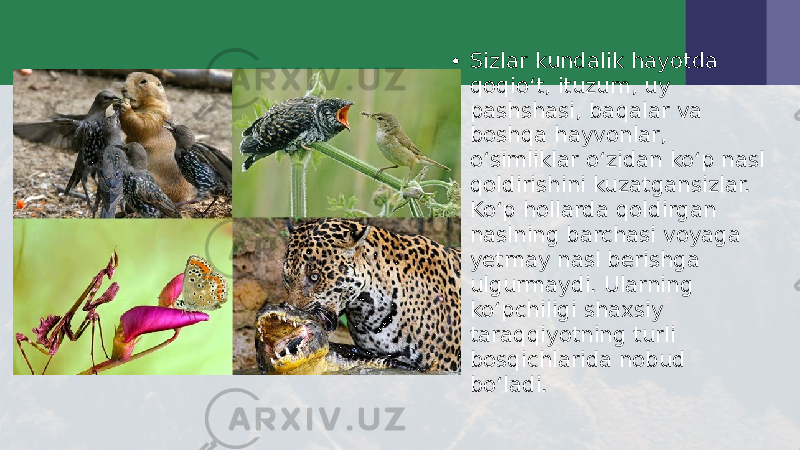 • Sizlar kundalik hayotda qoqio‘t, ituzum, uy pashshasi, baqalar va boshqa hayvonlar, o‘simliklar o‘zidan ko‘p nasl qoldirishini kuzatgansizlar. Ko‘p hollarda qoldirgan naslning barchasi voyaga yetmay nasl berishga ulgurmaydi. Ularning ko‘pchiligi shaxsiy taraqqiyotning turli bosqichlarida nobud bo‘ladi. 