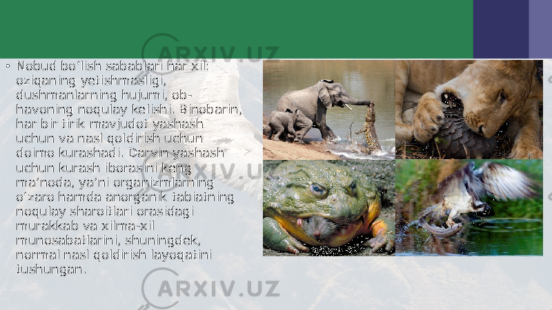 • Nobud bo‘lish sabablari har xil: oziqaning yetishmasligi, dushmanlarning hujumi, ob- havoning noqulay kelishi. Binobarin, har bir tirik mavjudot yashash uchun va nasl qoldirish uchun doimo kurashadi. Darvin yashash uchun kurash iborasini keng ma’noda, ya’ni organizmlarning o‘zaro hamda anorganik tabiatning noqulay sharoitlari orasidagi murakkab va xilma-xil munosabatlarini, shuningdek, normal nasl qoldirish layoqatini tushungan. 