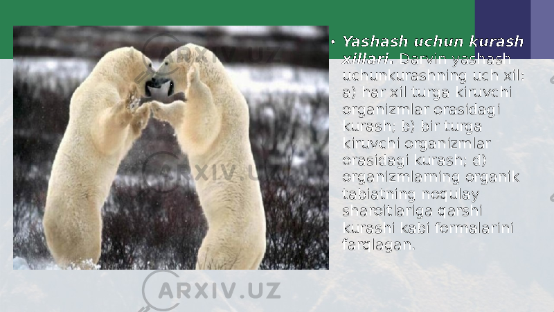 • Yashash uchun kurash xillari . Darvin yashash uchunkurashning uch xil: a) har xil turga kiruvchi organizmlar orasidagi kurash; b) bir turga kiruvchi organizmlar orasidagi kurash; d) organizmlarning organik tabiatning noqulay sharoitlariga qarshi kurashi kabi formalarini farqlagan. 