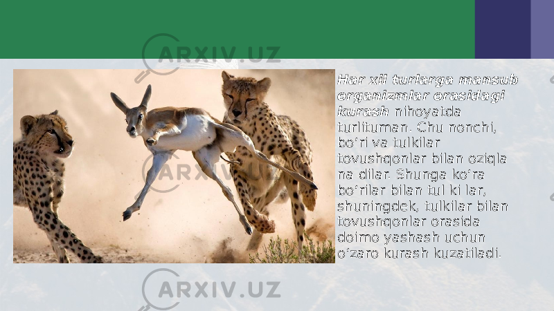 • Har xil turlarga mansub organizmlar orasidagi kurash nihoyatda turlituman. Chu nonchi, bo‘ri va tulkilar tovushqonlar bilan oziqla na dilar. Shunga ko‘ra bo‘rilar bilan tul ki lar, shuningdek, tulkilar bilan tovushqonlar orasida doimo yashash uchun o‘zaro kurash kuzatiladi. 