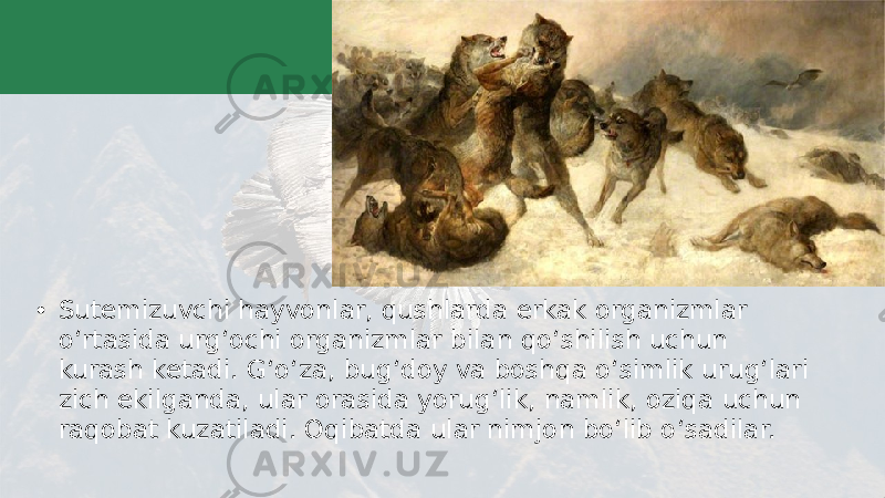 • Sutemizuvchi hayvonlar, qushlarda erkak organizmlar o‘rtasida urg‘ochi organizmlar bilan qo‘shilish uchun kurash ketadi. G‘o‘za, bug‘doy va boshqa o‘simlik urug‘lari zich ekilganda, ular orasida yorug‘lik, namlik, oziqa uchun raqobat kuzatiladi. Oqibatda ular nimjon bo‘lib o‘sadilar. 