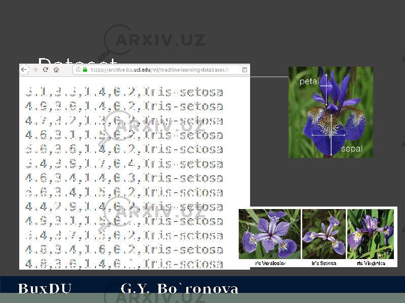 Dataset BuxDU G.Y. Bo`ronova 