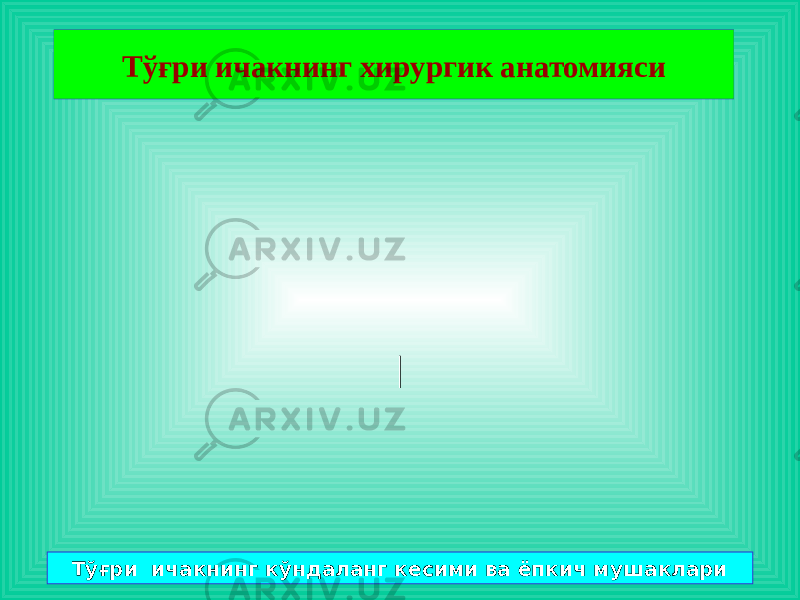 Тўғри ичакнинг хирургик анатомияси | Тўғри ичакнинг кўндаланг кесими ва ёпкич мушаклари 