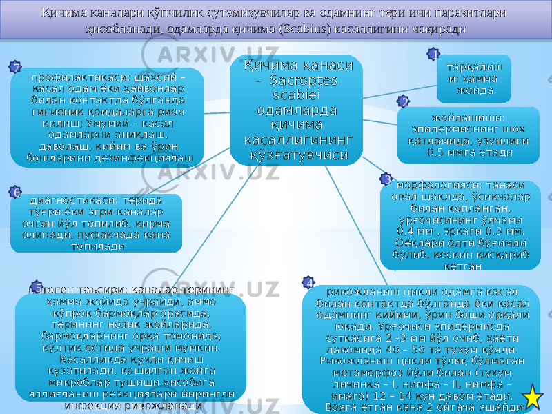 Қичима каналари кўпчилик сутэмизувчилар ва одамнинг тери ичи паразитлари ҳисобланади, одамларда қичима (Scabius) касаллигини чақиради Қичима канаси - Sacroptes scabiei одамларда қичима касаллигининг қўзғатувчиси тарқалиш и: ҳамма жойда жойлашиши: эпидермиснинг шох қатламида, узунлиги 0,5 ммга етади морфологияси: танаси овал шаклда, ўсиқчалар билан қопланган, урғочисининг ўлчами 0,4 мм , эркаги 0,3 мм. Оёқлари олти бўғимли бўлиб, кескин қисқариб кетган ривожланиш цикли одамга касал билан контактда бўлганда ёки касал одамнинг кийими, ўрин боши орқали юқади. Урғочиси эпидермисда суткасига 2 -3 мм йўл очиб, ҳаёти давомида 40 – 50 та тухум қўяди. Ривожланиш цикли тўлиқ бўлмаган метаморфоз йўли билан (тухум личинка – I, нимфа – II, нимфа – имаго) 12 – 14 кун давом этади. Вояга етган кана 2 ойгача яшайдипатоген таъсири: каналар терининг ҳамма жойида учрайди, аммо кўпроқ бармоқлар орасида, терининг нозик жойларида, бармоқларнинг орқа томонида, қўлтиқ остида учраши мумкин. Касалликда кучли қичиш кузатилади, қашилган жойга микроблар тушиши ҳисобига яллиғланиш реакциялари йирингли инфекция ривожланадидиагностикаси: терида тўғри ёки эгри каналар очган йўл топилиб, қирма олинади, пуфакчада кана топиладипрофилактикаси: шахсий – касал одам ёки ҳайвонлар билан контактда бўлганда гигиеник қоидаларга риоя қилиш; Умумий – касал одамларни аниқлаш, даволаш, кийим ва ўрин бошларини дезинфекциялаш 1 2 3 4 5673202 1402 