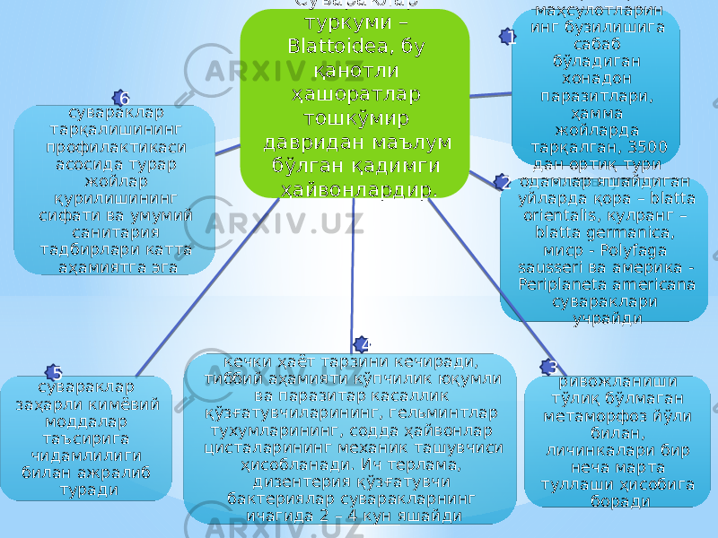 Сувараклар туркуми – Blattoidea, бу қанотли ҳашоратлар тошкўмир давридан маълум бўлган қадимги ҳайвонлардир. озиқ – овқат маҳсулотларин инг бузилишига сабаб бўладиган хонадон паразитлари, ҳамма жойларда тарқалган, 3500 дан ортиқ тури маълумодамлар яшайдиган уйларда қора – blatta orientalis, кулранг – blatta germanica, миср - Polyfaga sausseri ва америка - Periplaneta americana сувараклари учрайди ривожланиши тўлиқ бўлмаган метаморфоз йўли билан, личинкалари бир неча марта туллаши ҳисобига борадикечки ҳаёт тарзини кечиради, тиббий аҳамияти кўпчилик юқумли ва паразитар касаллик қўзғатувчиларининг, гельминтлар тухумларининг, содда ҳайвонлар цисталарининг механик ташувчиси ҳисобланади. Ич терлама, дизентерия қўзғатувчи бактериялар суваракларнинг ичагида 2 – 4 кун яшайдисувараклар заҳарли кимёвий моддалар таъсирига чидамлилиги билан ажралиб туради сувараклар тарқалишининг профилактикаси асосида турар жойлар қурилишининг сифати ва умумий санитария тадбирлари катта аҳамиятга эга 1 2 34 5 6 