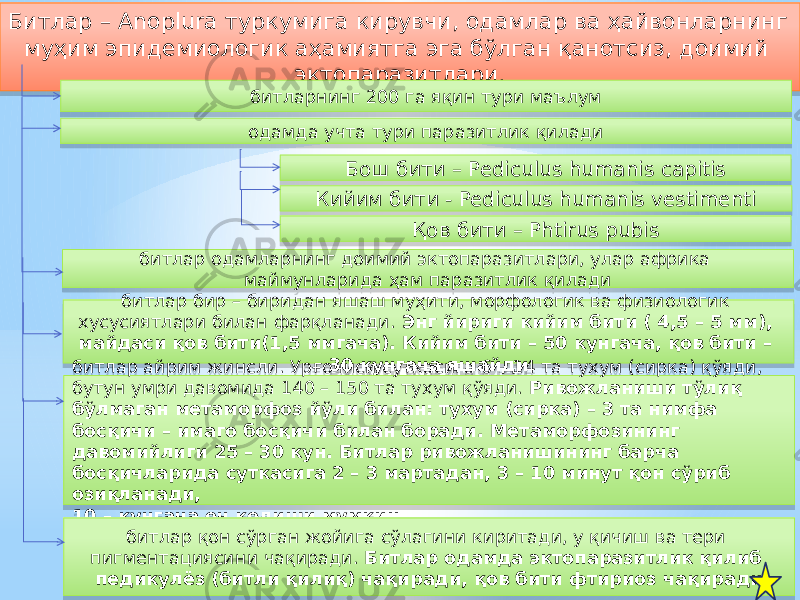 Битлар – Anoplura туркумига кирувчи, одамлар ва ҳайвонларнинг муҳим эпидемиологик аҳамиятга эга бўлган қанотсиз, доимий эктопаразитлари. битларнинг 200 га яқин тури маълум одамда учта тури паразитлик қилади Бош бити – Pediculus humanis capitis Кийим бити - Pediculus humanis vestimenti Қов бити – Phtirus pubis битлар одамларнинг доимий эктопаразитлари, улар африка маймунларида ҳам паразитлик қилади битлар бир – биридан яшаш муҳити, морфологик ва физиологик хусусиятлари билан фарқланади. Энг йириги кийим бити ( 4,5 – 5 мм), майдаси қов бити(1,5 ммгача). Кийим бити – 50 кунгача, қов бити – 30 кунгача яшайди битлар айрим жинсли. Урғочиси суткасига 6 – 14 та тухум (сирка) қўяди, бутун умри давомида 140 – 150 та тухум қўяди. Ривожланиши тўлиқ бўлмаган метаморфоз йўли билан: тухум (сирка) – 3 та нимфа босқичи – имаго босқичи билан боради. Метаморфозининг давомийлиги 25 – 30 кун. Битлар ривожланишининг барча босқичларида суткасига 2 – 3 мартадан, 3 – 10 минут қон сўриб озиқланади, 10 – кунгача оч қолиши мумкин битлар қон сўрган жойига сўлагини киритади, у қичиш ва тери пигментациясини чақиради. Битлар одамда эктопаразитлик қилиб педикулёз (битли қилиқ) чақиради, қов бити фтириоз чақиради50 0F20 24 18 0E 50 32 39 18 0F 18 16 24 1E 2D 18 18 2F 12 12 28 12 1418 29 18 22 3509 22 