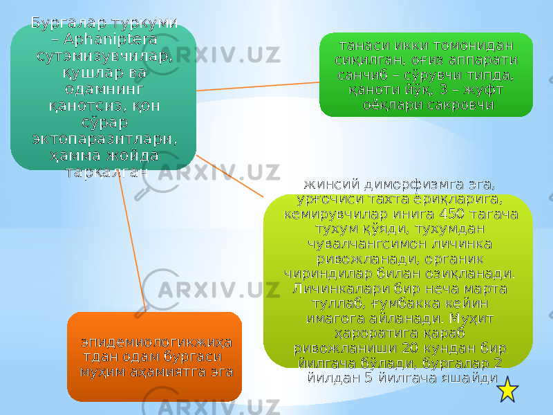 Бургалар туркуми – Aphaniptera сутэмизувчилар, қушлар ва одамнинг қанотсиз, қон сўрар эктопаразитлари, ҳамма жойда тарқалган танаси икки томонидан сиқилган, оғиз аппарати санчиб – сўрувчи типда, қаноти йўқ, 3 – жуфт оёқлари сакровчи жинсий диморфизмга эга, урғочиси тахта ёриқларига, кемирувчилар инига 450 тагача тухум қўяди, тухумдан чувалчангсимон личинка ривожланади, органик чириндилар билан озиқланади. Личинкалари бир неча марта туллаб, ғумбакка кейин имагога айланади. Муҳит ҳароратига қараб ривожланиши 20 кундан бир йилгача бўлади, бургалар 2 йилдан 5 йилгача яшайдиэпидемиологикжиҳа тдан одам бургаси муҳим аҳамиятга эга 