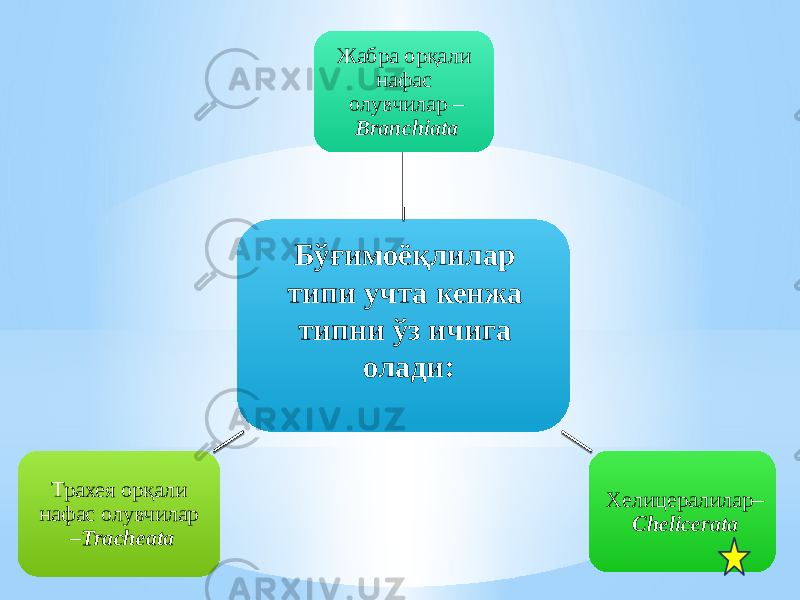 Бўғимоёқлилар типи учта кенжа типни ўз ичига олади:Жабра орқали нафас олувчилар – Branchiata Хелицералилар – ChelicerataТрахея орқали нафас олувчилар – Tracheata 