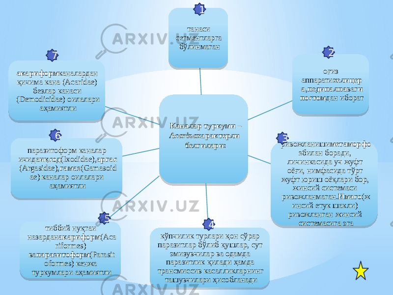 Каналар туркуми – Acarina характерли белгилари: танаси сегментларга бўлинмаган оғиз аппарати хелицер а , педипалпа ва ги постом дан иборат ривожланиши метаморфо з билан боради, личинкасида уч жуфт оёғи, нимфасида тўрт жуфт юриш оёқлари бор, жинсий системаси ривожланмаган. Имаго (ж инсий етук шакли) ривожланган жинсий системасига эга кўпчилик турлари қон сўрар паразитлар бўлиб қушлар, сут эмизувчилар ва одамда паразитлик қилади ҳамда трансмиссив касалликларнинг ташувчилари ҳисобланадитиббий нуқтаи назардан акариформ (Aca riformes) ва паразитоформ (Parasit oformes) кенжа туркумлари аҳамиятлипаразитоформ каналар ичида иқсод (Ixodidae), аргас (Argasidae), гамаз (Gamasoid ae) каналар оилалари аҳамиятлиакариформ каналардан қичима кана (Acaridae) безлар канаси (Demodicidae) оилалари аҳамиятли 1 2 3 45673E 28 22 1A 05 11 03 0B 07 22 02 1C 2A 12 0A 2A 1E 0802 16 06 03 0E 0B 2F 2F 0802 3F 35 02 0802 11 26 1A 0C 1A 05 05 05 0A 02 353D 4041 12 2A 3547 43 05 1A 02 0C 35 0204 35 0A 35 3F 07 02 26 19 03 35 07 