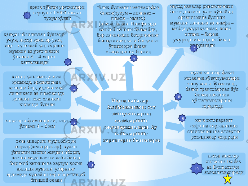 Иқсод каналар – Ixodidae оиласи: сут эмизувчилар ва одамларнинг эктопаразитлари. Бу каналарнинг характерли белгилари: оғиз аппарати жуфт, юқори жағлар(хелицералар), кучли ўзгарган пастки жағдан иборат, пастки жағи пастки лаби билан бирикиб кетиши ва хартум ҳосил қилиши мумкин, уларнинг ёрдамида хўжайин терисини тешиб ёпишиб оладиканалар айрим жинсли, тана ўлчами 4 – 5 ммхитин қоплами дорсал қисмида, эркакларида қалқони бор, урғочисида, личинкаси ва нимфасида қалқони тана олдинги қисмида бўладиқалқон чўзилувчан бўлгани учун, иқсод каналар узоқ вақт – суткалаб қон сўриши мумкин ва урғочилари ўлчами 3 - 4 марта катталашади қонга тўйган урғочилари серпушт 17000 тагача тухум қўяди тўлиқ бўлмаган метаморфоз билан(тухум – личинка – нимфа – имаго) ривожланади. Нимфасида жинсий тешиги бўлмайди, бир личинкали босқичининг бошқа личинкали босқичга ўтиши қон билан озиқланишга боғлиқ иқсод каналар ривожланиши битта, иккита, учта хўжайин организмида бўлиши мумкин; личинка ва нимфа – майда умуртқалилар, вояга етгани – йирик умуртқалилар қони билан озиқланади иқсод каналар фақат касаллик қўзғатувчилари ташувчиси бўлмасдан, балки трансовариал йўл билан касаллик қўзғатувчиларини тарқатади кана эктопаразит сифатида организмда яллиғланиш ва аллергик реакциялар чақиради иқсод каналар оиласига Ixodes ва Dermacentor авлодлари киради7 61 5 24 3 8 9 10 