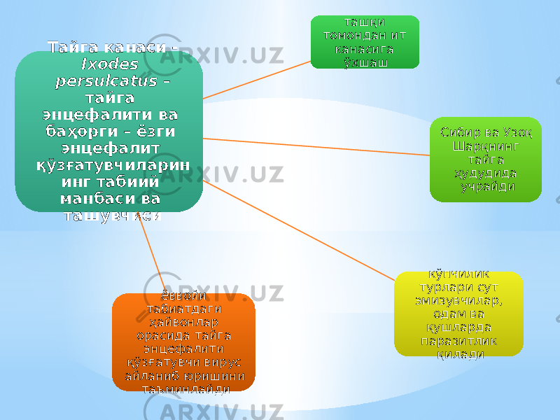 Тайга канаси - Ixodes persulcatus – тайга энцефалити ва баҳорги – ёзги энцефалит қўзғатувчиларин инг табиий манбаси ва ташувчиси ташқи томондан ит канасига ўхшаш Сибир ва Узоқ Шарқнинг тайга ҳудудида учрайди кўпчилик турлари сут эмизувчилар, одам ва қушларда паразитлик қиладиёввойи табиатдаги ҳайвонлар орасида тайга энцефалити қўзғатувчи вирус айланиб юришини таъминлайди 