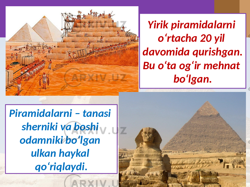 Yirik piramidalarni o‘rtacha 20 yil davomida qurishgan. Bu o‘ta og‘ir mehnat bo‘lgan. Piramidalarni – tanasi sherniki va boshi odamniki bo‘lgan ulkan haykal qo‘riqlaydi. 