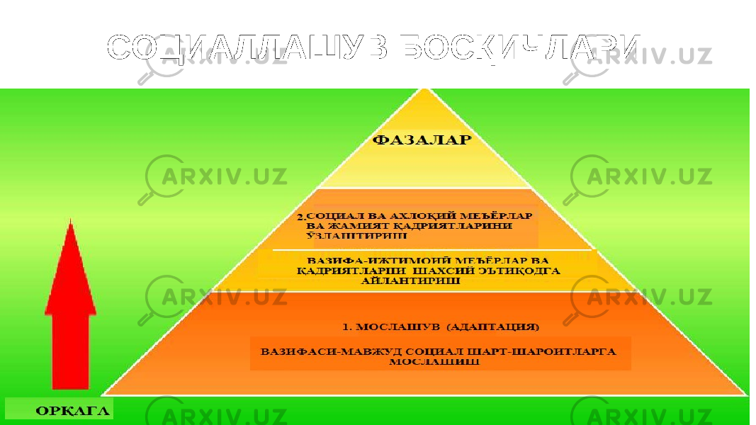 СОЦИАЛЛАШУВ БОСҚИЧЛАРИ 