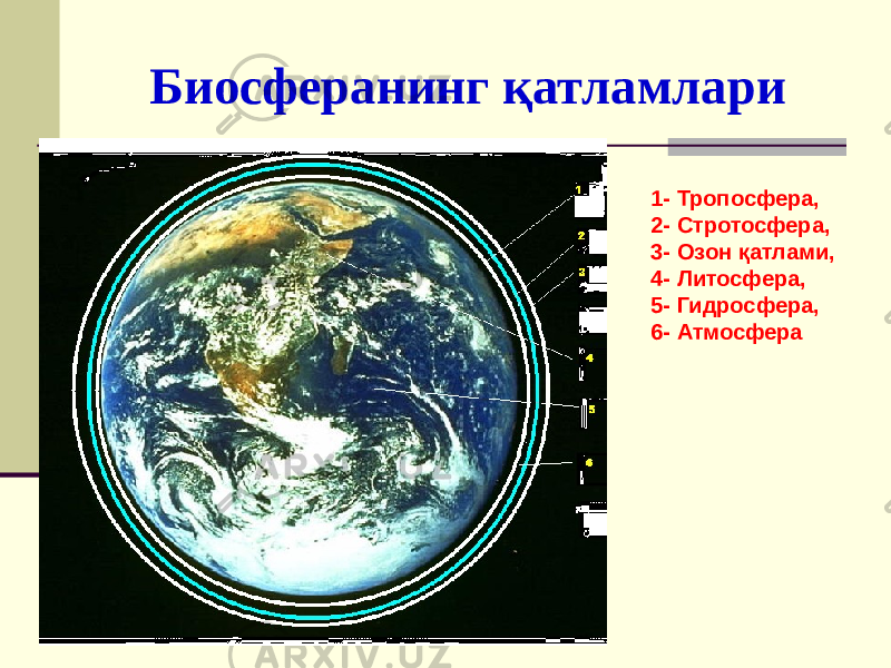 Биосферанинг қатламлари 1- Тропосфера, 2- Стротосфера, 3- Озон қатлами, 4- Литосфера, 5- Гидросфера, 6- Атмосфера 