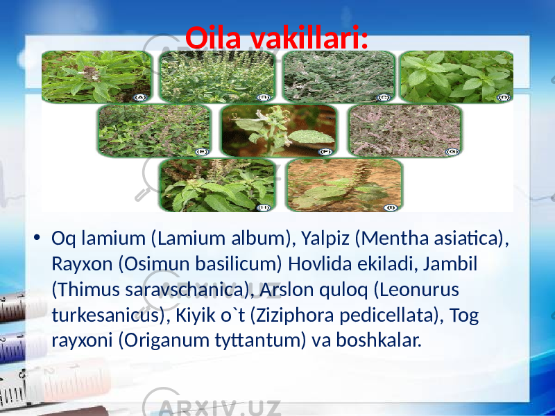 Oila vakillari: • Oq lamium (Lamium album), Yalpiz (Mentha asiatica), Rayxon (Osimun basilicum) Hovlida ekiladi, Jambil (Thimus saravschanica), Arslon quloq (Leonurus turkesanicus), Kiyik o`t (Ziziphora pedicellata), Tog rayxoni (Origanum tyttantum) va boshkalar. 