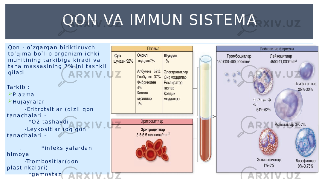 Q o n - o ’ z g a r g a n b i r i k t i r u v c h i t o ’ q i m a b o ` l i b o r g a n i z m i c h k i m u h i t i n i n g t a r k i b i g a k i r a d i v a t a n a m a s s a s i n i n g 7 % i n i t a s h k i l q i l a d i . Ta r k i b i :  P l a z m a  H u j a y r a l a r - E r i t r o t s i t l a r ( q i z i l q o n t a n a c h a l a r i - * O 2 t a s h a y d i - L e y k o s i t l a r ( o q q o n t a n a c h a l a r i - . * i n f e k s i y a l a r d a n h i m o y a -Tr o m b o s i t l a r ( q o n p l a s t i n k a l a r i ) – * g e m o s t a z QON VA IMMUN SISTEMA Нейтроф ил 