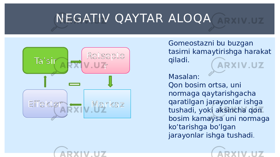 Mar kaz NEGATIV QAYTAR ALOQA Effektor Gomeostazni bu buzgan tasirni kamaytirishga harakat qiladi. Masalan: Qon bosim ortsa, uni normaga qaytarishgacha qaratilgan jarayonlar ishga tushadi, yoki aksincha qon bosim kamaysa uni normaga ko’tarishga bo’lgan jarayonlar ishga tushadi .Retsepto rTa’sir02 32 23 16 