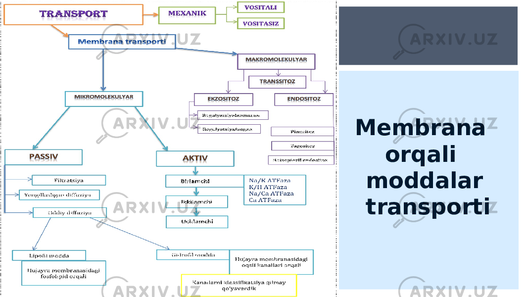 Membrana orqali moddalar transporti 