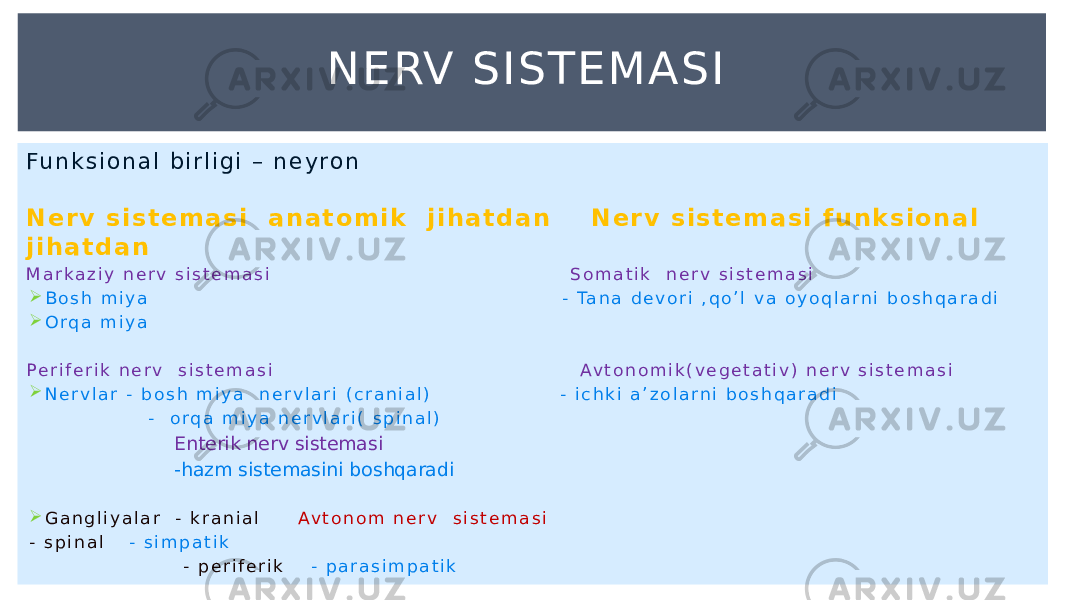 Fu n k s i o n a l b i r l i g i – n e y r o n N e r v s i s t e m a s i a n a t o m i k j i h a t d a n N e r v s i s t e m a s i f u n k s i o n a l j i h a t d a n M a r k a z i y n e r v s i s t e m a s i S o m a t i k n e r v s i s t e m a s i  B o s h m i y a - Ta n a d e v o r i , q o ’ l v a o y o q l a r n i b o s h q a r a d i  O r q a m i y a P e r i f e r i k n e r v s i s t e m a s i Av t o n o m i k ( v e g e t a t i v ) n e r v s i s t e m a s i  N e r v l a r - b o s h m i y a n e r v l a r i ( c r a n i a l ) - i c h k i a ’ z o l a r n i b o s h q a r a d i - o r q a m i y a n e r v l a r i ( s p i n a l ) Enterik nerv sistemasi -hazm sistemasini boshqaradi  G a n g l i y a l a r - k r a n i a l Av t o n o m n e r v s i s t e m a s i - s p i n a l - s i m p a t i k - p e r i f e r i k - p a r a s i m p a t i k NERV SISTEMASI 