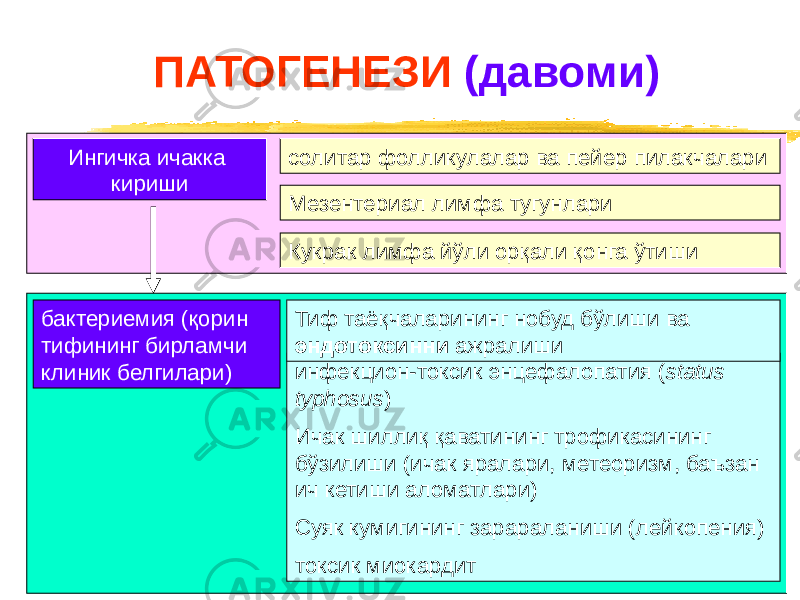 ПАТОГЕНЕЗИ (давоми) инфекцион-токсик энцефалопатия ( status typhosus ) Ичак шиллиқ қаватининг трофикасининг бўзилиши (ичак яралари, метеоризм, баъзан ич кетиши аломатлари) Суяк кумигининг зарараланиши (лейкопения) токсик миокардитИнгичка ичакка кириши солитар фолликулалар ва пейер пилакчалари Мезентериал лимфа тугунлари Кукрак лимфа йўли орқали қонга ўтиши бактериемия (қорин тифининг бирламчи клиник белгилари) Тиф таёқчаларининг нобуд бўлиши ва эндотоксинни ажралиши 