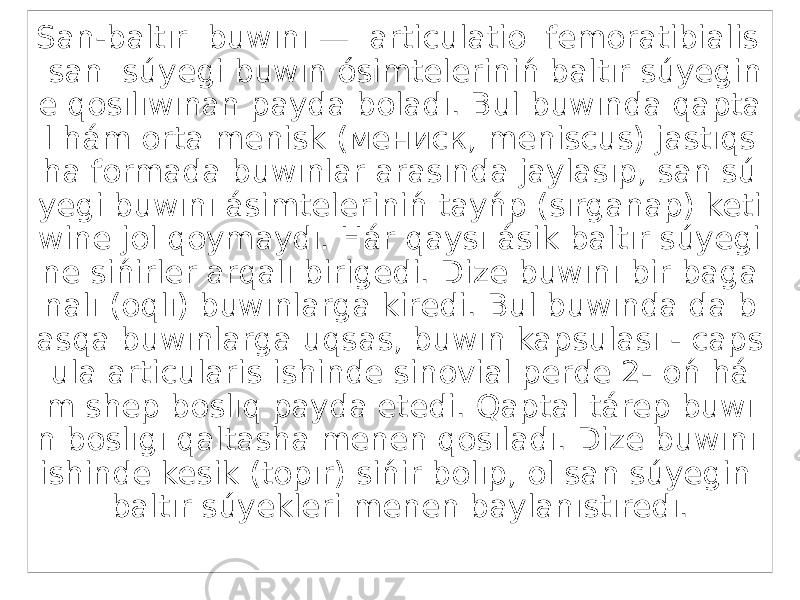 San-baltır buwını — articulatio femoratibialis san súyegi buwın ósimteleriniń baltır súyegin e qosılıwınan payda boladı. Bul buwında qapta l hám orta menisk (мениск, meniscus) jastıqs ha formada buwınlar arasında jaylasıp, san sú yegi buwını ásimteleriniń tayńp (sırganap) keti wine jol qoymaydı. Hár qaysı ásik baltır súyegi ne sińirler arqalı birigedi. Dize buwını bir baga nalı (oqlı) buwınlarga kiredi. Bul buwında da b asqa buwınlarga uqsas, buwın kapsulası - caps ula articularis ishinde sinovial perde 2- oń há m shep boslıq payda etedi. Qaptal tárep buwı n boslıgı qaltasha menen qosıladı. Dize buwını ishinde kesik (topır) sińir bolıp, ol san súyegin baltır súyekleri menen baylanıstıredı. 