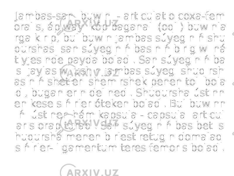 Jambas-san buwını - articulatio coxa-fem oralis, ápiwayı kóp baganalı (oqlı) buwınla rga kirip, bul buwın jambas súyeginiń shu qurshası san súyeginiń basınıń birigiwi ná tiyjesinde payda boladı. San súyeginiń ba sı jaylasıwı ushın jambas súyegi shuqırsh asınıń shetleri shemirshek penen tolı bola dı, bugan erin delinedi. Shuqursha ústinn en kese sińirler óteken boladı. Bul buwınn ıń ústinen hám kapsula - capsula articul aris orap turadı. San súyeginiń bas beti s huqursha menen birlestiretugın domalaq sińirler- ligamentum teres femoris boladı. 