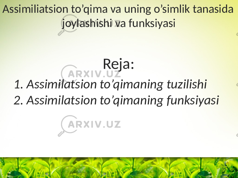 Assimiliatsion to’qima va uning o’simlik tanasida joylashishi va funksiyasi 1. Assimilatsion to’qimaning tuzilishi 2. Assimilatsion to’qimaning funksiyasi Reja: 