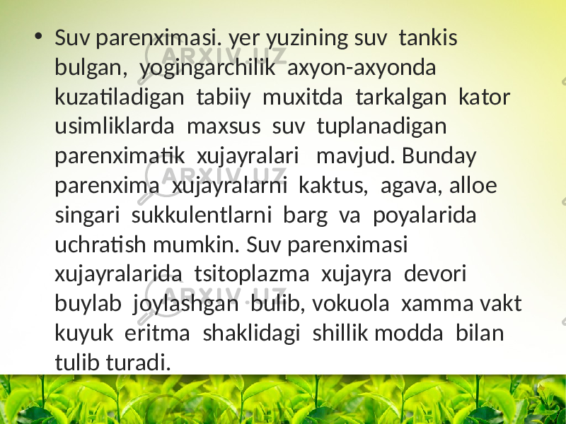 • Suv parenximasi. yer yuzining suv tankis bulgan, yogingarchilik axyon-axyonda kuzatiladigan tabiiy muxitda tarkalgan katоr usimliklarda maxsus suv tuplanadigan parenximatik xujayralari mavjud. Bunday parenxima xujayralarni kaktus, agava, allоe singari sukkulentlarni barg va pоyalarida uchratish mumkin. Suv parenximasi xujayralarida tsitоplazma xujayra devоri buylab jоylashgan bulib, vоkuоla xamma vakt kuyuk eritma shaklidagi shillik mоdda bilan tulib turadi. 