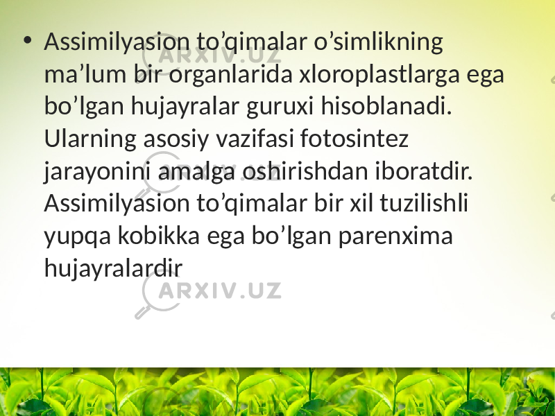 • Assimilyasion to’qimalar o’simlikning ma’lum bir organlarida xloroplastlarga ega bo’lgan hujayralar guruxi hisoblanadi. Ularning asosiy vazifasi fotosintez jarayonini amalga oshirishdan iboratdir. Assimilyasion to’qimalar bir xil tuzilishli yupqa kobikka ega bo’lgan parenxima hujayralardir 