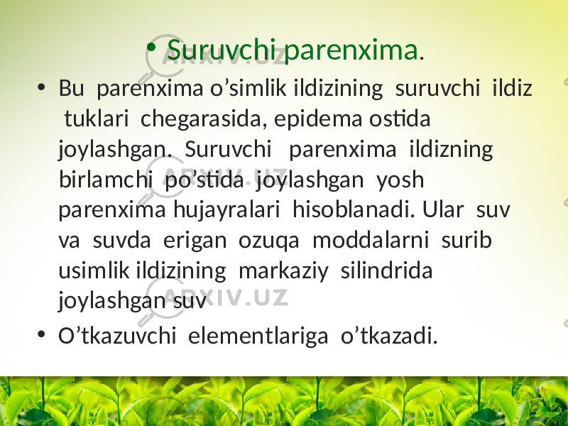 • Suruvchi parenxima . • Bu parenxima o’simlik ildizining suruvchi ildiz tuklari chegarasida, epidema оstida jоylashgan. Suruvchi parenxima ildizning birlamchi po’stida jоylashgan yosh parenxima hujayralari hisоblanadi. Ular suv va suvda erigan оzuqa mоddalarni surib usimlik ildizining markaziy silindrida jоylashgan suv • O’tkazuvchi elementlariga o’tkazadi. 