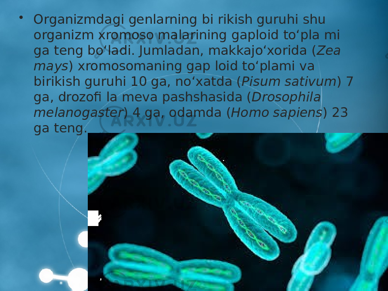 • Organizmdagi genlarning bi rikish guruhi shu organizm xromoso malarining gaploid to‘pla mi ga teng bo‘ladi. Jumladan, makkajo‘xorida ( Zea mays ) xromosomaning gap loid to‘plami va birikish guruhi 10 ga, no‘xatda ( Pisum sativum ) 7 ga, drozofi la meva pashshasida ( Drosophila melanogaster ) 4 ga, odamda ( Homo sapiens ) 23 ga teng. 