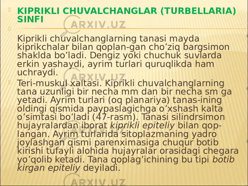  KIPRIKLI CHUVALCHANGLAR (TURBELLARIA) SINFI  Kiprikli chuvalchanglarning tanasi mayda kiprikchalar bilan qoplan-gan cho’ziq bargsimon shaklda bo’ladi. Dengiz yoki chuchuk suvlarda erkin yashaydi, ayrim turlari quruqlikda ham uchraydi.  Teri-muskul xaltasi. Kiprikli chuvalchanglarning tana uzunligi bir necha mm dan bir necha sm ga yetadi. Ayrim turlari (oq planariya) tanas-ining oldingi qismida paypaslagichga o’xshash kalta o’simtasi bo’ladi (47-rasm). Tanasi silindrsimon hujayralardan iborat kiprikli epiteliy bilan qop- langan. Ayrim turlarida sitoplazmaning yadro joylashgan qismi parenximasiga chuqur botib kirishi tufayli alohida hujayralar orasidagi chegara yo’qolib ketadi. Tana qoplag’ichining bu tipi botib kirgan epiteliy deyiladi. 