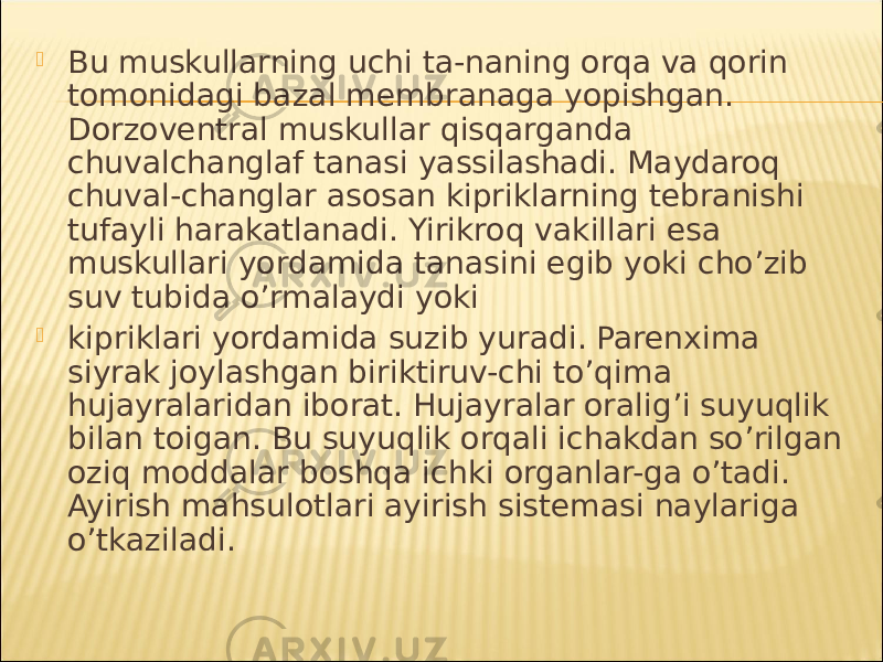  Bu muskullarning uchi ta-naning orqa va qorin tomonidagi bazal membranaga yopishgan. Dorzoventral muskullar qisqarganda chuvalchanglaf tanasi yassilashadi. Maydaroq chuval-changlar asosan kipriklarning tebranishi tufayli harakatlanadi. Yirikroq vakillari esa muskullari yordamida tanasini egib yoki cho’zib suv tubida o’rmalaydi yoki  kipriklari yordamida suzib yuradi. Parenxima siyrak joylashgan biriktiruv-chi to’qima hujayralaridan iborat. Hujayralar oralig’i suyuqlik bilan toigan. Bu suyuqlik orqali ichakdan so’rilgan oziq moddalar boshqa ichki organlar-ga o’tadi. Ayirish mahsulotlari ayirish sistemasi naylariga o’tkaziladi. 