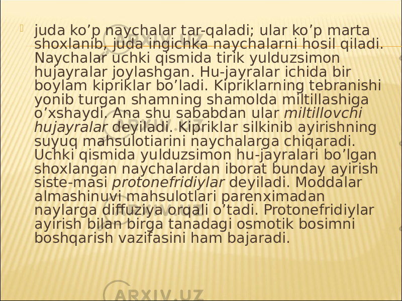  juda ko’p naychalar tar-qaladi; ular ko’p marta shoxlanib, juda ingichka naychalarni hosil qiladi. Naychalar uchki qismida tirik yulduzsimon hujayralar joylashgan. Hu-jayralar ichida bir boylam kipriklar bo’ladi. Kipriklarning tebranishi yonib turgan shamning shamolda miltillashiga o’xshaydi. Ana shu sababdan ular miltillovchi hujayralar deyiladi. Kipriklar silkinib ayirishning suyuq mahsulotiarini naychalarga chiqaradi. Uchki qismida yulduzsimon hu-jayralari bo’lgan shoxlangan naychalardan iborat bunday ayirish siste-masi protonefridiylar deyiladi. Moddalar almashinuvi mahsulotlari parenximadan naylarga diffuziya orqali o’tadi. Protonefridiylar ayirish bilan birga tanadagi osmotik bosimni boshqarish vazifasini ham bajaradi. 