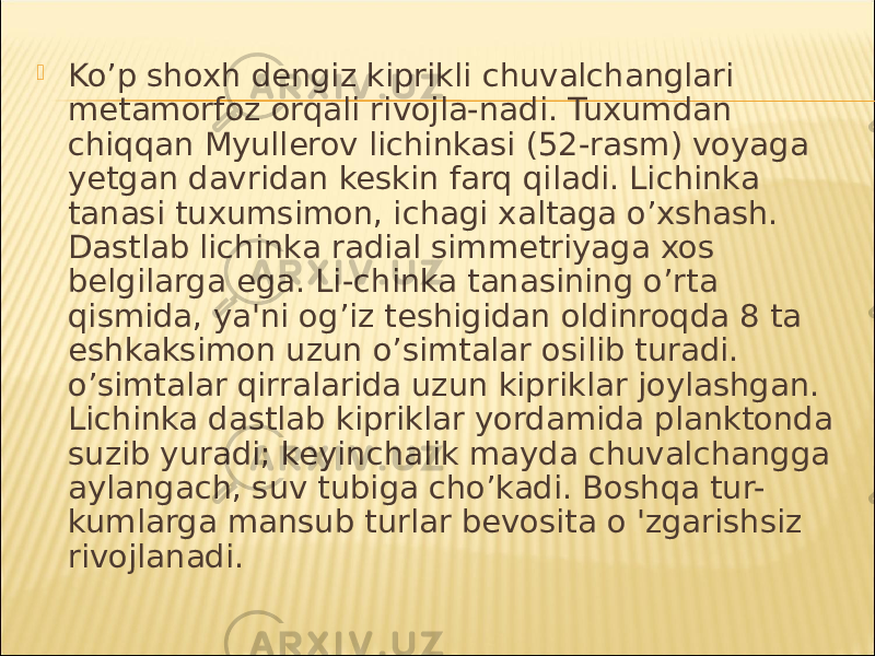  Ko’p shoxh dengiz kiprikli chuvalchanglari metamorfoz orqali rivojla-nadi. Tuxumdan chiqqan Myullerov lichinkasi (52-rasm) voyaga yetgan davridan keskin farq qiladi. Lichinka tanasi tuxumsimon, ichagi xaltaga o’xshash. Dastlab lichinka radial simmetriyaga xos belgilarga ega. Li-chinka tanasining o’rta qismida, ya&#39;ni og’iz teshigidan oldinroqda 8 ta eshkaksimon uzun o’simtalar osilib turadi. o’simtalar qirralarida uzun kipriklar joylashgan. Lichinka dastlab kipriklar yordamida planktonda suzib yuradi; keyinchalik mayda chuvalchangga aylangach, suv tubiga cho’kadi. Boshqa tur- kumlarga mansub turlar bevosita o &#39;zgarishsiz rivojlanadi. 