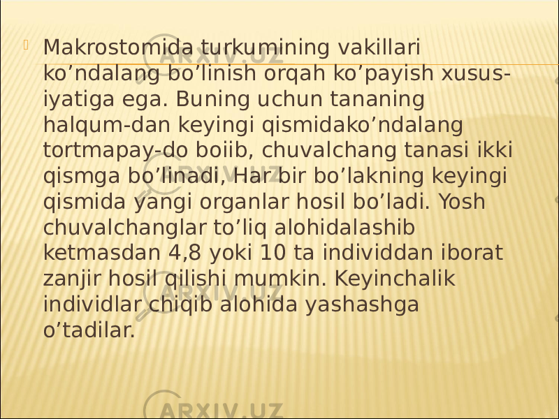  Makrostomida turkumining vakillari ko’ndalang bo’linish orqah ko’payish xusus- iyatiga ega. Buning uchun tananing halqum-dan keyingi qismidako’ndalang tortmapay-do boiib, chuvalchang tanasi ikki qismga bo’linadi, Har bir bo’lakning keyingi qismida yangi organlar hosil bo’ladi. Yosh chuvalchanglar to’liq alohidalashib ketmasdan 4,8 yoki 10 ta individdan iborat zanjir hosil qilishi mumkin. Keyinchalik individlar chiqib alohida yashashga o’tadilar. 