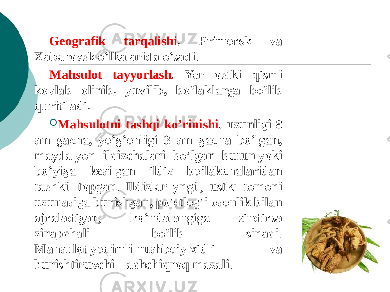 Gеografik tarqalishi . Primorsk va Xabarovsk o’lkalarida o’sadi. Mahsulot tayyorlash . Yer ostki qismi kovlab olinib, yuvilib, bo’laklarga bo’lib quritiladi.  Mahsulotni tashqi ko’rinishi . uzunligi 8 sm gacha, yo’g’onligi 3 sm gacha bo’lgan, mayda yon ildizchalari bo’lgan butun yoki bo’yiga kеsilgan ildiz bo’lakchalaridan tashkil topgan. Ildizlar yngil, ustki tomoni uzunasiga burishgan, po’stlog’i osonlik bilan ajraladigan, ko’ndalangiga sindirsa zirapchali bo’lib sinadi. Mahsulot yoqimli hushbo’y xidli va burishtiruvchi- -achchiqroq mazali. 