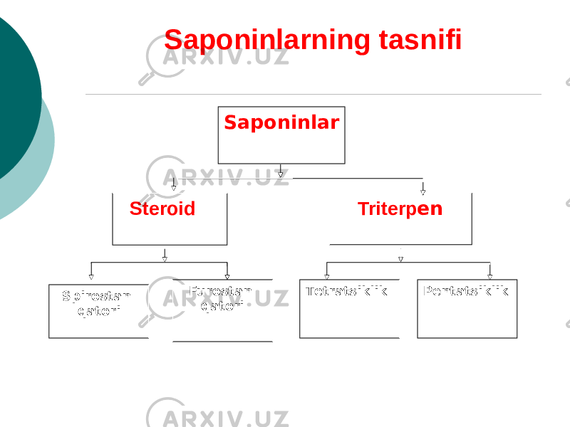 Saponinlar Tritеrp еnStеroid Spirostan qatori Furostan qatori Tеtratsiklik PеntatsiklikSaponinlarning tasnifi 