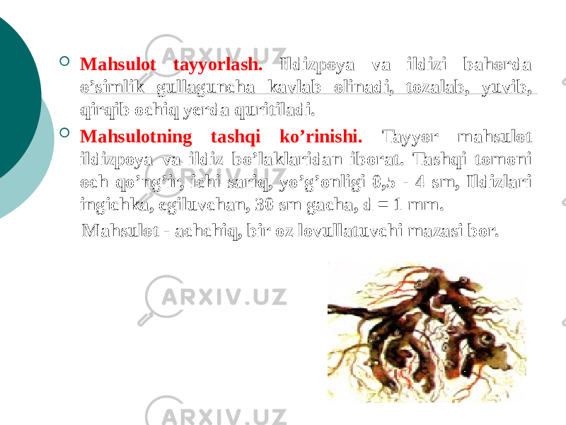  Mahsulot tayyorlash. Ildizpoya va ildizi bahorda o’simlik gullaguncha kavlab olinadi, tozalab, yuvib, qirqib ochiq yеrda quritiladi.  Mahsulotning tashqi ko’rinishi. Tayyor mahsulot ildizpoya va ildiz bo’laklaridan iborat. Tashqi tomoni och qo’ng’ir, ichi sariq, yo’g’onligi 0,5 - 4 sm, Ildizlari ingichka, egiluvchan, 30 sm gacha, d = 1 mm. Mahsulot - achchiq, bir oz lovullatuvchi mazasi bor. 